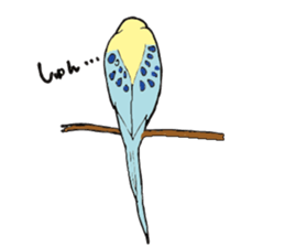 Parakeet daily sticker #8313828