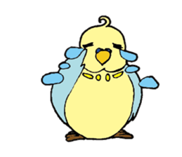 Parakeet daily sticker #8313829