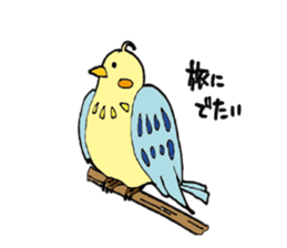 Parakeet daily sticker #8313839