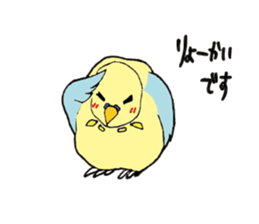 Parakeet daily sticker #8313840