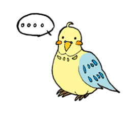 Parakeet daily sticker #8313841