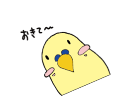 Parakeet daily sticker #8313842