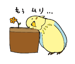 Parakeet daily sticker #8313844