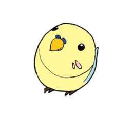 Parakeet daily sticker #8313845