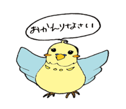 Parakeet daily sticker #8313847
