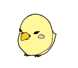 Parakeet daily sticker #8313849