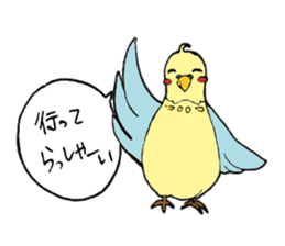 Parakeet daily sticker #8313852