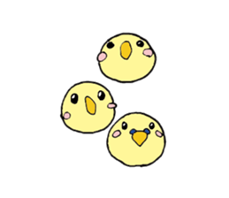 Parakeet daily sticker #8313855