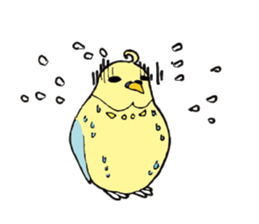Parakeet daily sticker #8313857