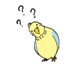 Parakeet daily sticker #8313858