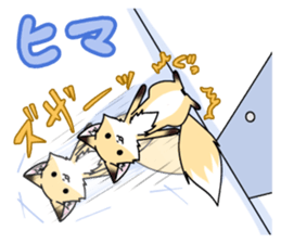 Fox and raccoon dog's sticker #8313932