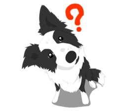Border Collie Cute sticker #8314023