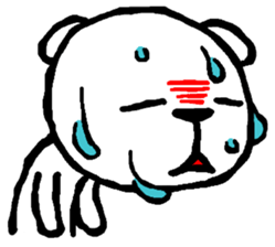 Expressive Polar Bear sticker #8314484