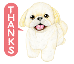 Shih Tzu Sticker ! sticker #8316300