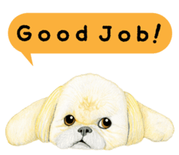 Shih Tzu Sticker ! sticker #8316302