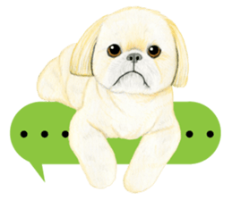 Shih Tzu Sticker ! sticker #8316310