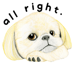 Shih Tzu Sticker ! sticker #8316317