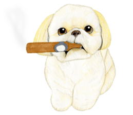 Shih Tzu Sticker ! sticker #8316319