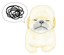 Shih Tzu Sticker ! sticker #8316320