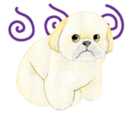 Shih Tzu Sticker ! sticker #8316321