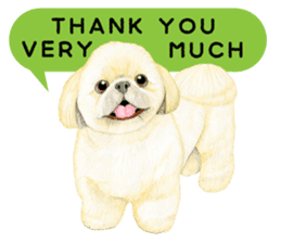 Shih Tzu Sticker ! sticker #8316323