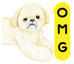 Shih Tzu Sticker ! sticker #8316327