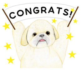 Shih Tzu Sticker ! sticker #8316331