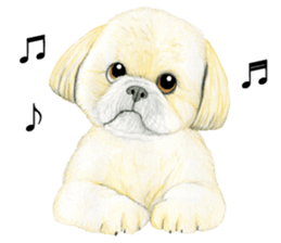 Shih Tzu Sticker ! sticker #8316335