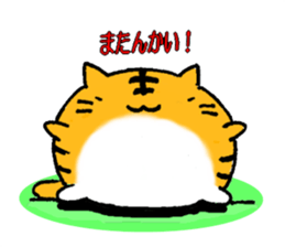 Fat tabby cat sticker #8319701
