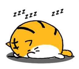 Fat tabby cat sticker #8319707