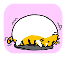 Fat tabby cat sticker #8319728