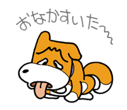 pet dog chiro sticker #8320583