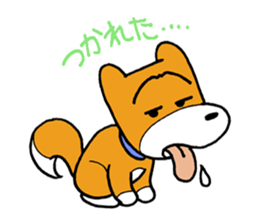 pet dog chiro sticker #8320584