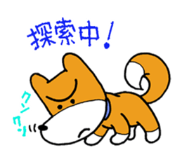 pet dog chiro sticker #8320590