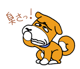 pet dog chiro sticker #8320591