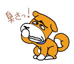 pet dog chiro sticker #8320591