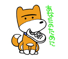 pet dog chiro sticker #8320596