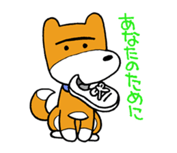 pet dog chiro sticker #8320596