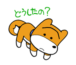 pet dog chiro sticker #8320617