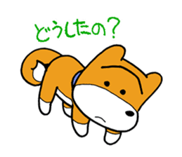 pet dog chiro sticker #8320617