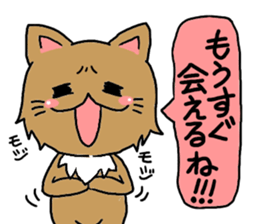 Lovable Longhair Cat sticker #8320777