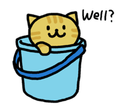 Cats in a various things sticker #8320792