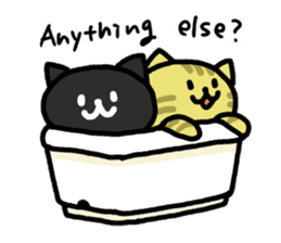 Cats in a various things sticker #8320793