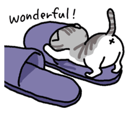 Cats in a various things sticker #8320798