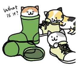 Cats in a various things sticker #8320802