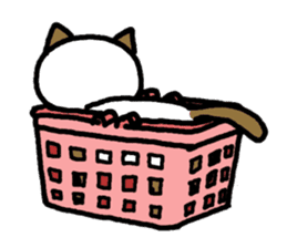 Cats in a various things sticker #8320809