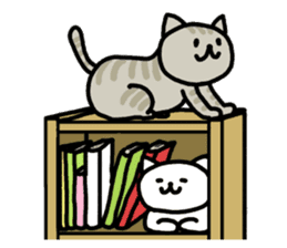 Cats in a various things sticker #8320810