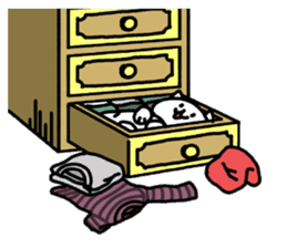 Cats in a various things sticker #8320811