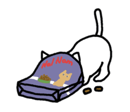 Cats in a various things sticker #8320820
