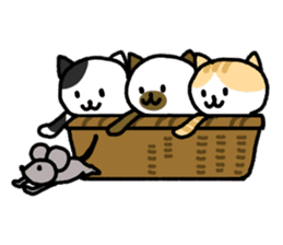 Cats in a various things sticker #8320822